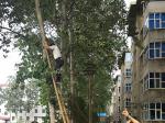 供电线路维护