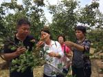 实训电教中心组织相关教师去田间采集病虫害植物标本