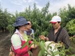 实训电教中心相关教师赴永济采集病虫害植物标本